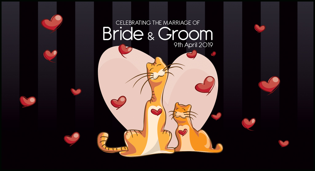 Cartoon Stubby Holder Designs